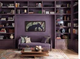 Asian Paints ColourNext