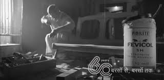 Fevicol 50th Anniversary
