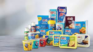 Britannia Dairy Products