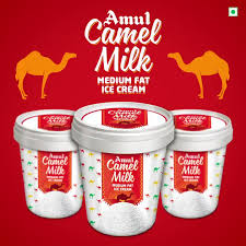 Amul Camel Milk Medium Fat Ice Cream